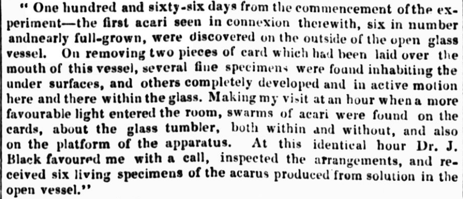 Original Newspaper Clipping